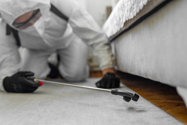 Professional Emergency Pest Control technician working in North Massapequa, NY