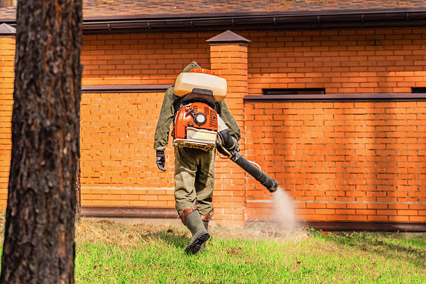 Trusted Cockroach Control service in North Massapequa, NY - Nex Pest Control